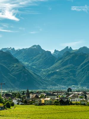 Aigle