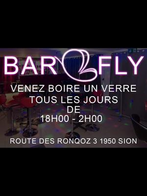 Bar Fly - Salon érotique à Sion
