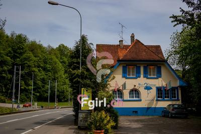 Blue Flamingo - Salon érotique à Frauenfeld