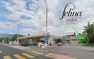 Felina Airport - Salon érotique à Genève
