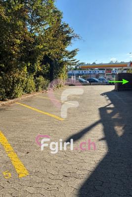 Felina Airport - Salon érotique à Genève
