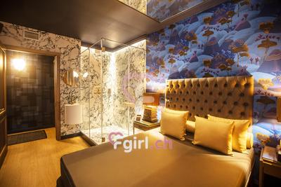 Felina - Erotic club in Geneva