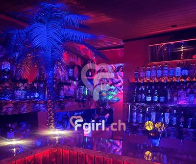 Night Club Revolver - Salon érotique à Fribourg