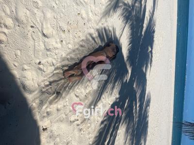 Barbara - Escort à Genève
