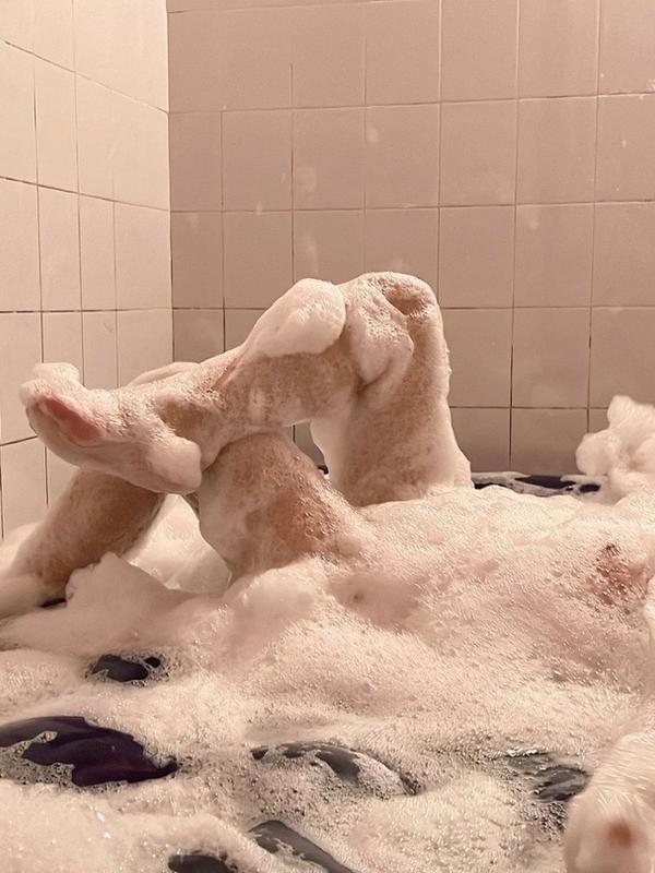 Luna Thai - Erotic masseuse in Lausanne
