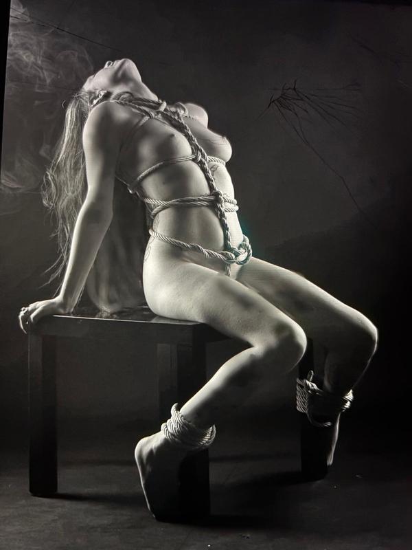 Lys - Escort à Nyon
