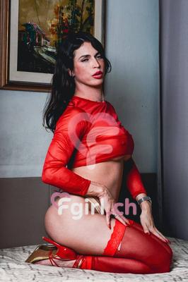 Ts Barbie - Phone sex and Video chat in Geneva
