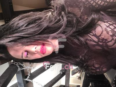 Ts Giovanna - Transsexual in Geneva
