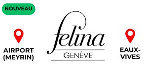 Banner Felina